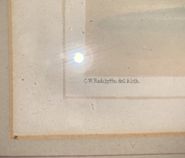 FDA-E.3180_3-2021-D image FDA-E.3180_3-2021-D