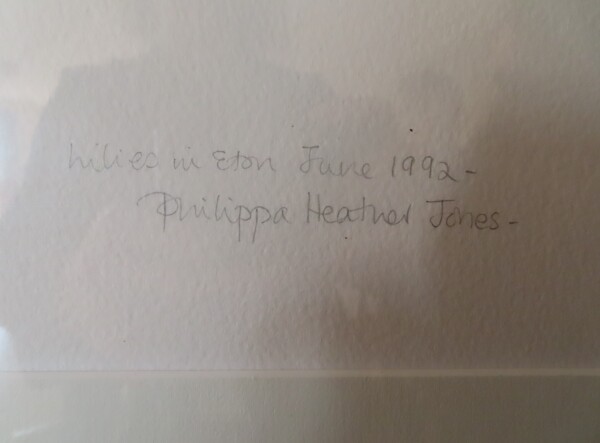 image FDA-D.1790-2026-C