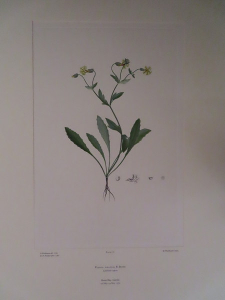 FDA-E.2916_8_23-2016 image FDA-E.2916_8_23-2016