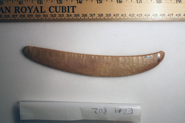 ECM.802-2010-A image ECM.802-2010-A