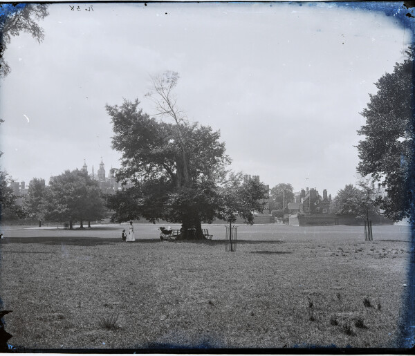 PA-N.1081-2024 image PA-N.1081-2024