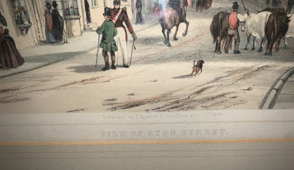 FDA-E.3180_5-2021-C image FDA-E.3180_5-2021-C