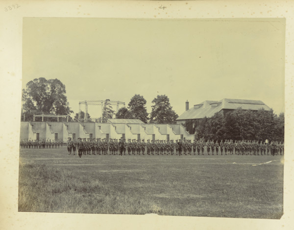 PA-A.113_41-2017 image PA-A.113_41-2017