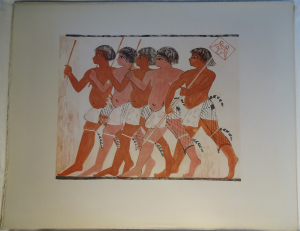 image FDA-E.3055_51-2018