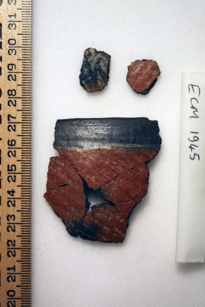 ECM.1945-2010-A image ECM.1945-2010-A