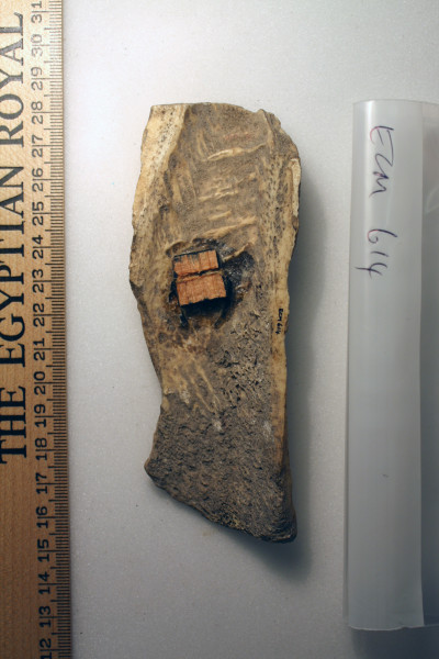 ECM.614-2010-B image ECM.614-2010-B