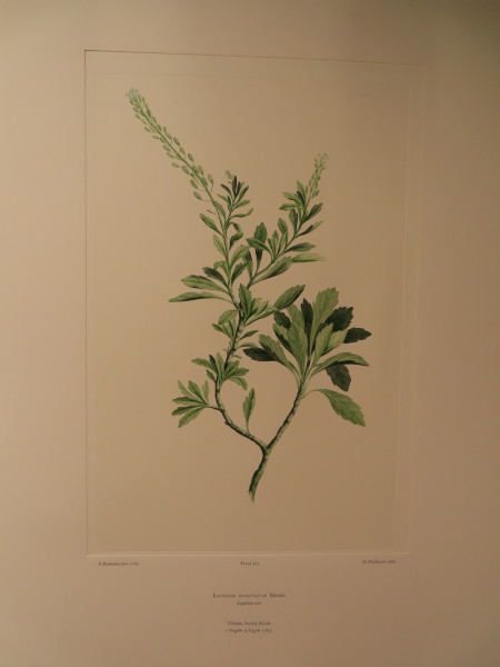 FDA-E.2916_28_4-2016-A image FDA-E.2916_28_4-2016-A