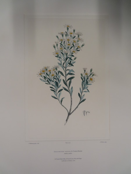 FDA-E.2916_33_10-2016-A image FDA-E.2916_33_10-2016-A