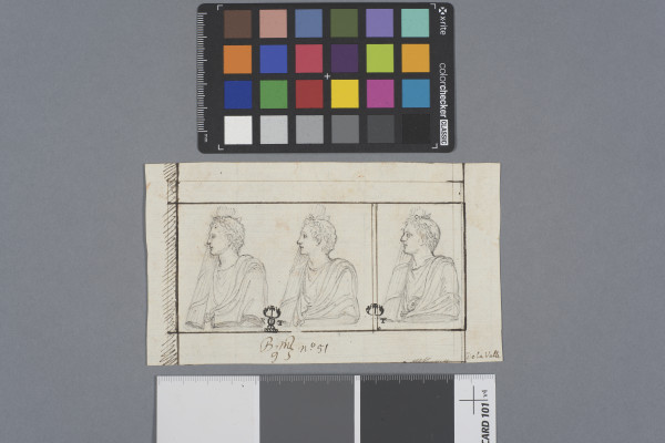 ECL-Bm.9_51-2013 image ECL-Bm.9_51-2013