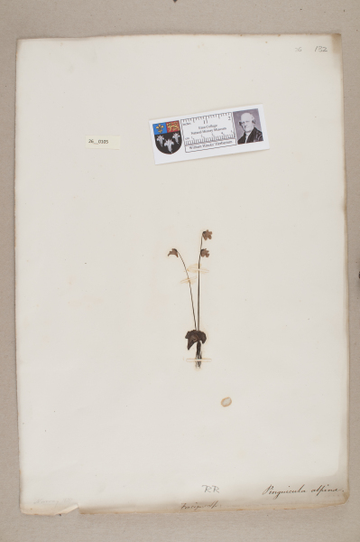 NHM_HH_26.105-2010 image NHM_HH_26.105-2010