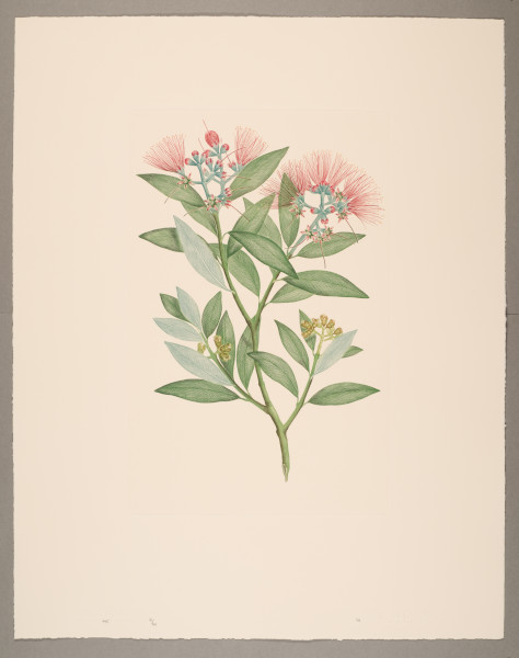 FDA-E.2916_21_25-2016-crA image FDA-E.2916_21_25-2016-crA