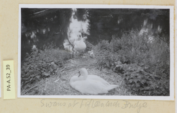 PA-A.52_39-2013 image PA-A.52_39-2013