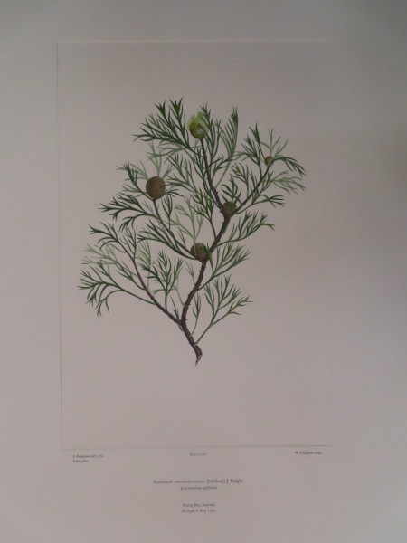 image FDA-E.2916_12_26-2016-A