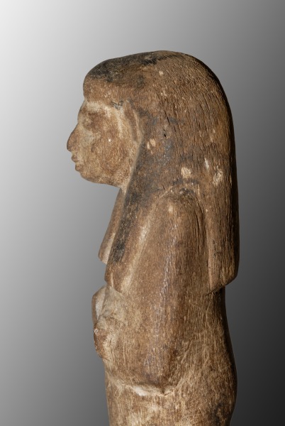 ECM.388-2010-BB image ECM.388-2010-BB