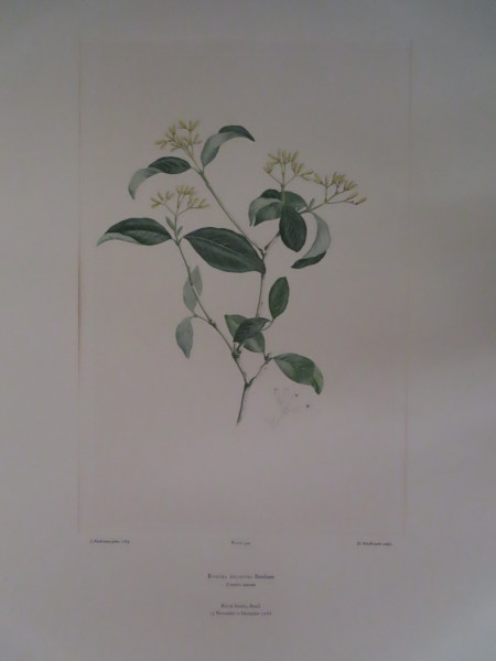 image FDA-E.2916_16_10-2016