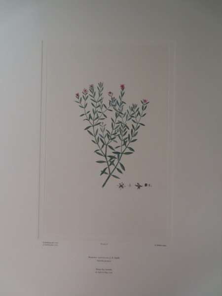 FDA-E.2916_2_11-2016-A image FDA-E.2916_2_11-2016-A