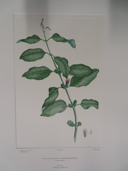 image FDA-E.2916_18_14-2016-A