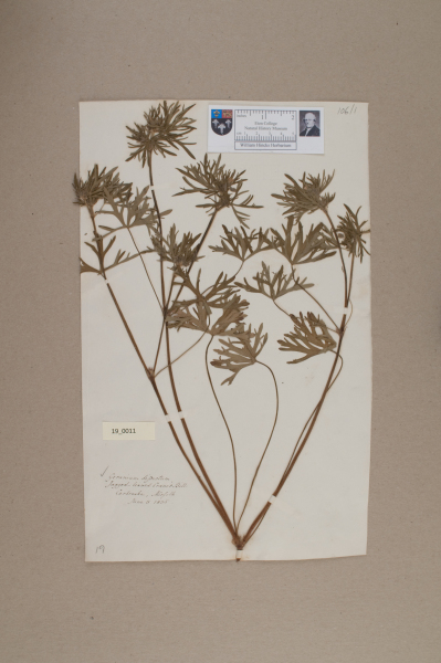 NHM_HH_19.11-2010 image NHM_HH_19.11-2010