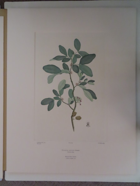 image FDA-E.2916_4_21-2016