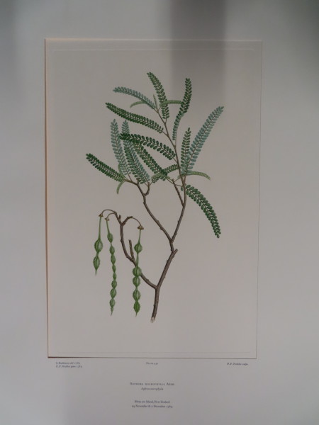 FDA-E.2916_21_11-2016 image FDA-E.2916_21_11-2016