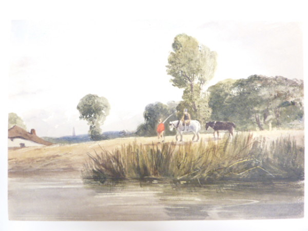 image FDA-D.1374-2015