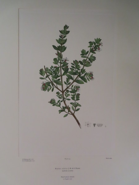 FDA-E.2916_6_24-2016 image FDA-E.2916_6_24-2016