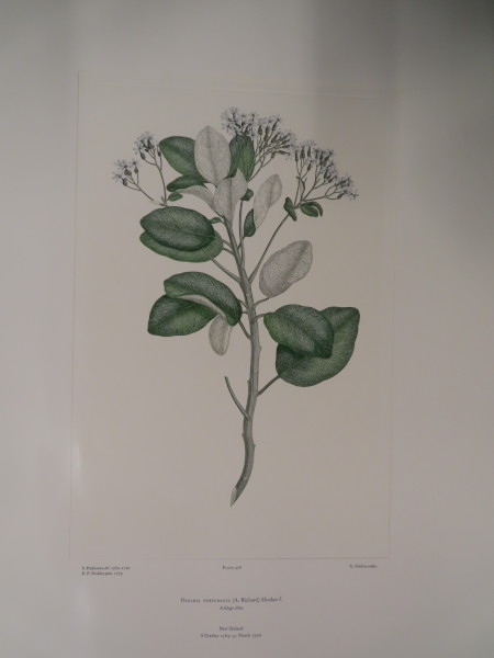 image FDA-E.2916_23_12-2016