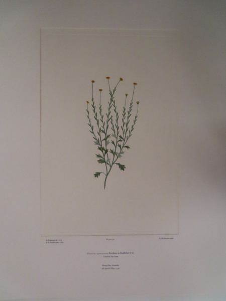 image FDA-E.2916_8_5-2016-A