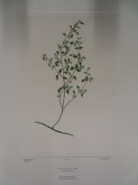 FDA-E.2916_25_18-2016 image FDA-E.2916_25_18-2016