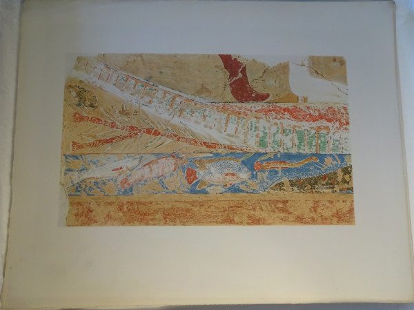 image FDA-E.3055_61-2018