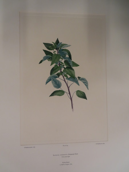 image FDA-E.2916_31_12-2016-A