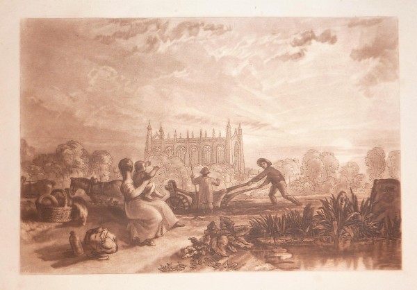 FDA-E.313-2010 image FDA-E.313-2010