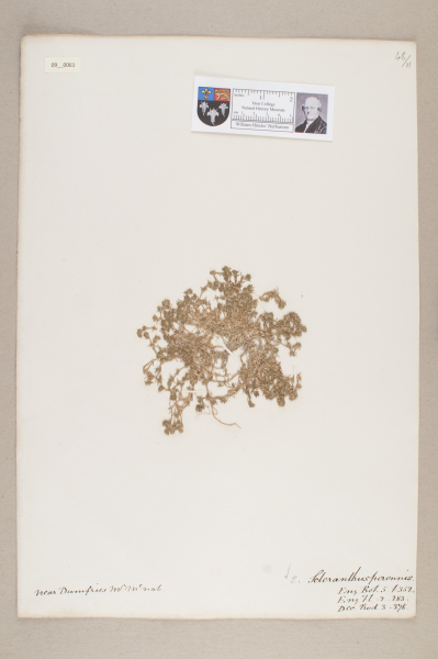 NHM_HH_9.61-2010 image NHM_HH_9.61-2010