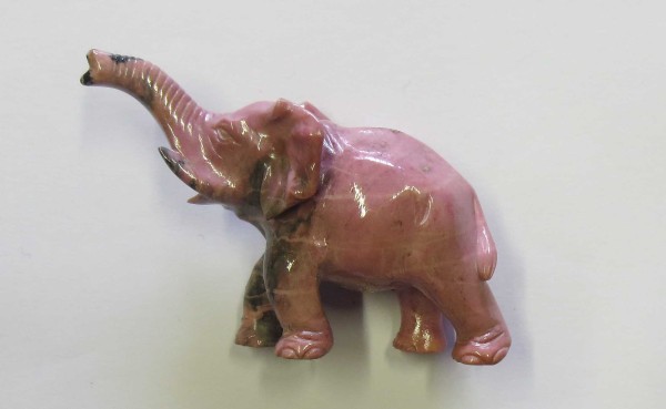 NHM-EE.61-2015 image NHM-EE.61-2015