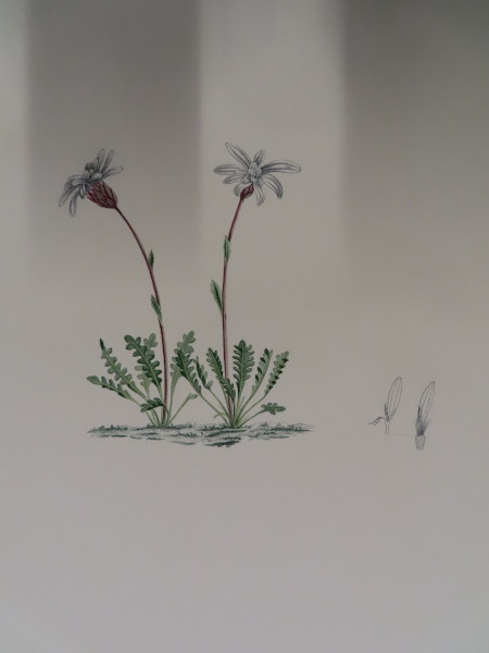 image FDA-E.2916_33_15-2016-A