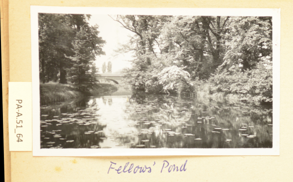 PA-A.51_64-2013 image PA-A.51_64-2013