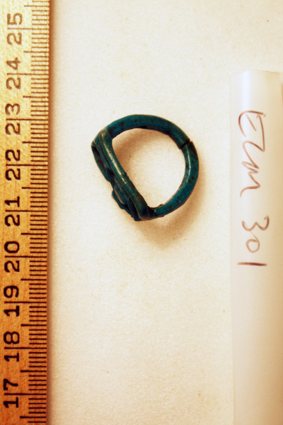 ECM.301-2010-B image ECM.301-2010-B