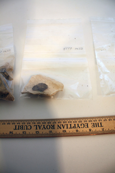 ECM.5554-2017-G image ECM.5554-2017-G