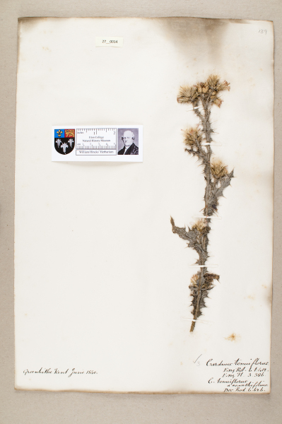 NHM_HH_27.14-2010 image NHM_HH_27.14-2010