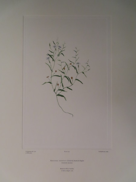 image FDA-E.2916_10_25-2016