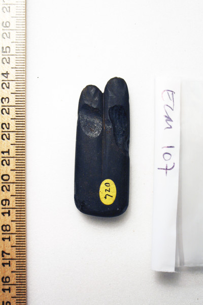 ECM.107-2010-A image ECM.107-2010-A