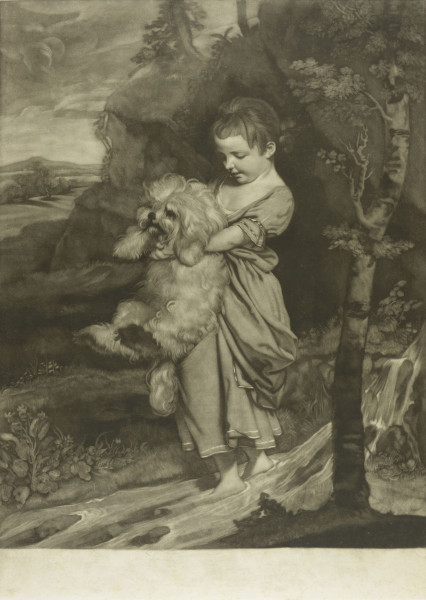 FDA-E.379-2010 image FDA-E.379-2010