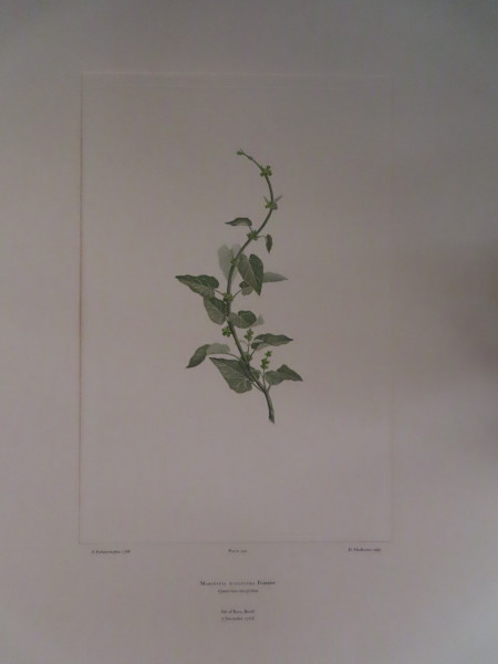 image FDA-E.2916_16_15-2016