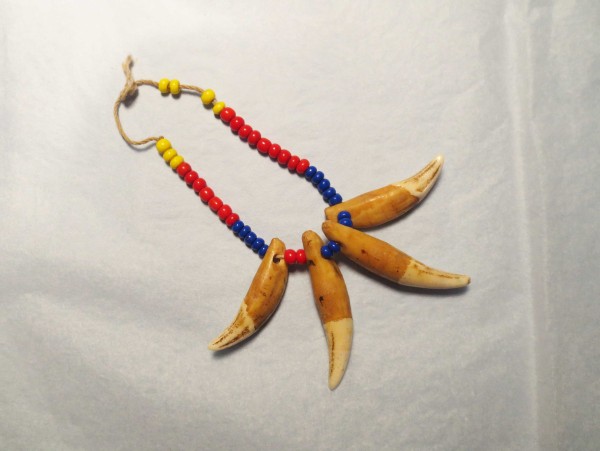 NHM-HT.204-2018 image NHM-HT.204-2018