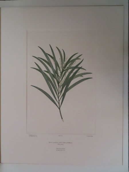 image FDA-E.2916_4_26-2016