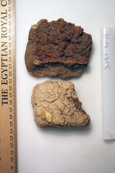 ECM.1755-2010-A image ECM.1755-2010-A