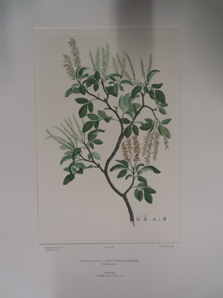 image FDA-E.2916_21_16-2016