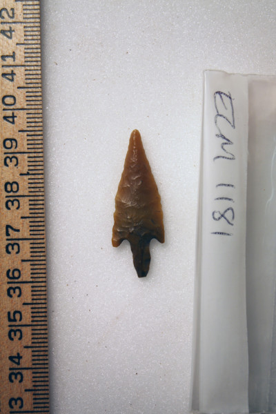 ECM.1181-2010-A image ECM.1181-2010-A