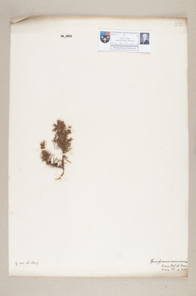 NHM_HH_6.2-2010 image NHM_HH_6.2-2010