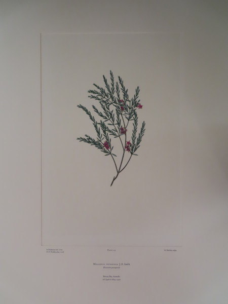 FDA-E.2916_6_6-2016-A image FDA-E.2916_6_6-2016-A